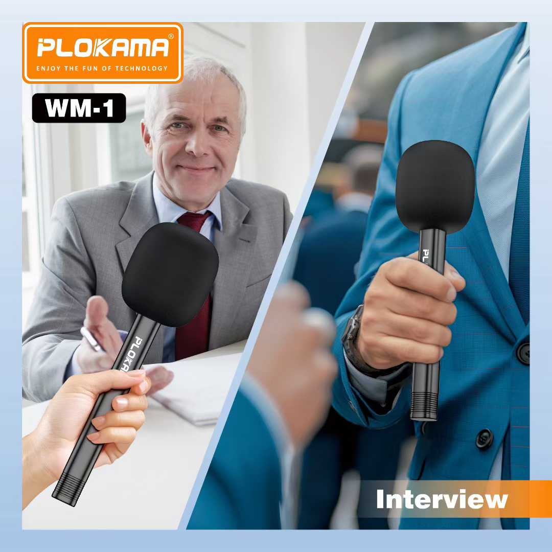 Remote Handheld Microphone Stick